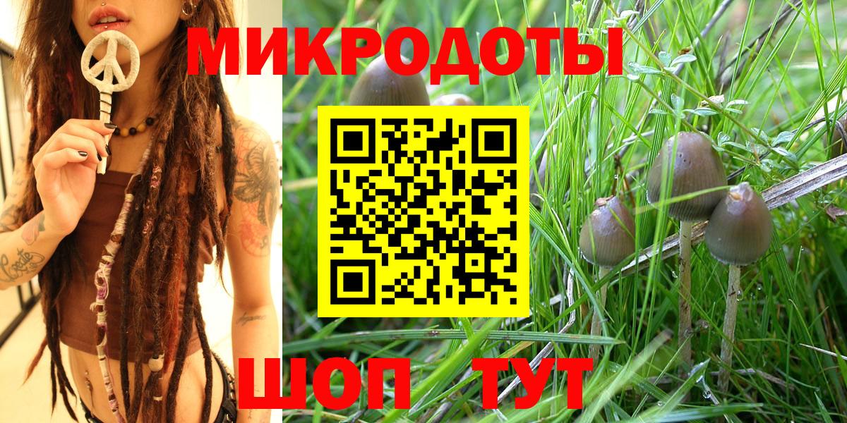 Псилоцибиновые грибы GOLDEN TEACHER Батайск