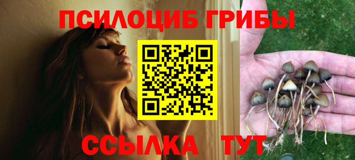 Галлюциногенные грибы Cubensis  Псилоцибиновые грибы Psilocybine cubensis  Вход с VPN  Батайск 